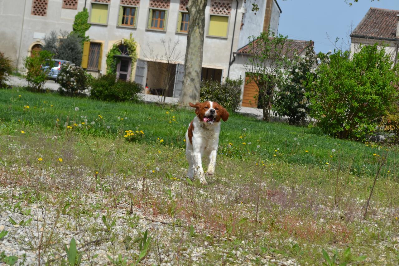Agriturismo Otto Ducati D'Oro Isola della Scala Exterior photo